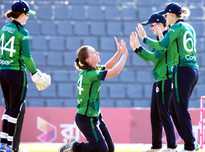 将决定他们 将决定他们