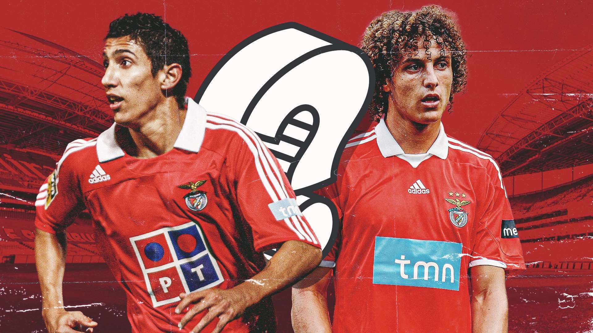 迪马利亚在 迪马利亚在